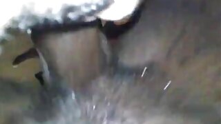 பூடிலிசியஸ் ஹாட் ஃப்ளவர் டூசி ஒரு கால்தடத்துடன் ஒரு சேவலை வழங்குகிறது